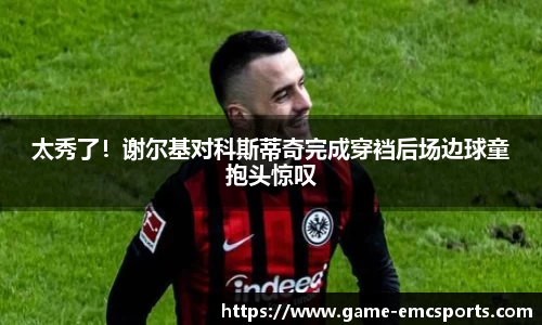 EMC易倍官方网站